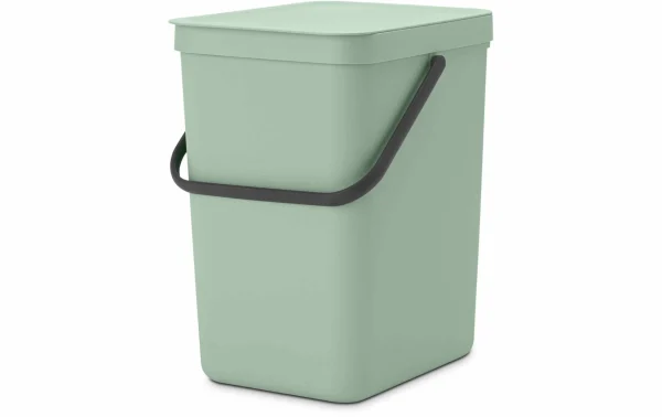 Meilleure vente 🤩 Brabantia Bacs De Recyclage Sort & Go 25 L, Vert Clair – Bac à Compost 🤩 le grand escompte 1