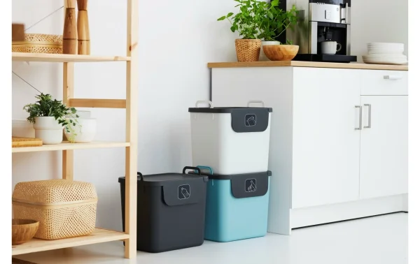 marque pas cher Grosses soldes 🔔 Rotho Bacs De Recyclage Jive 30 L, Bleu Clair/Noir/Blanc – Bac à Compost 🤩 4